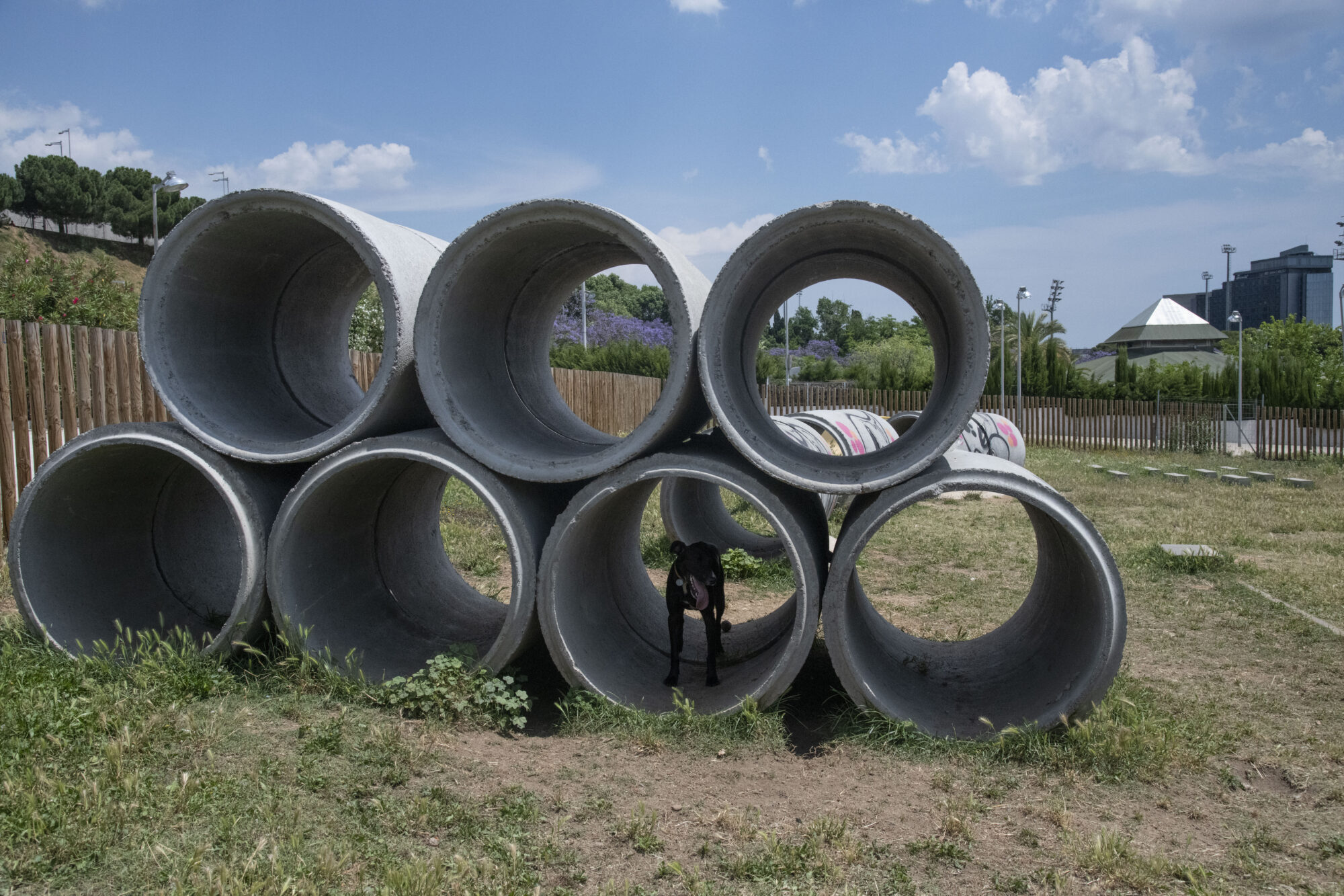 Imatge d'uns tubs de ciment per on poden passar gossos.